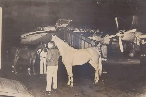 WhatsApp-Image-2024-09-27-at-11.32.38-e1727433821523